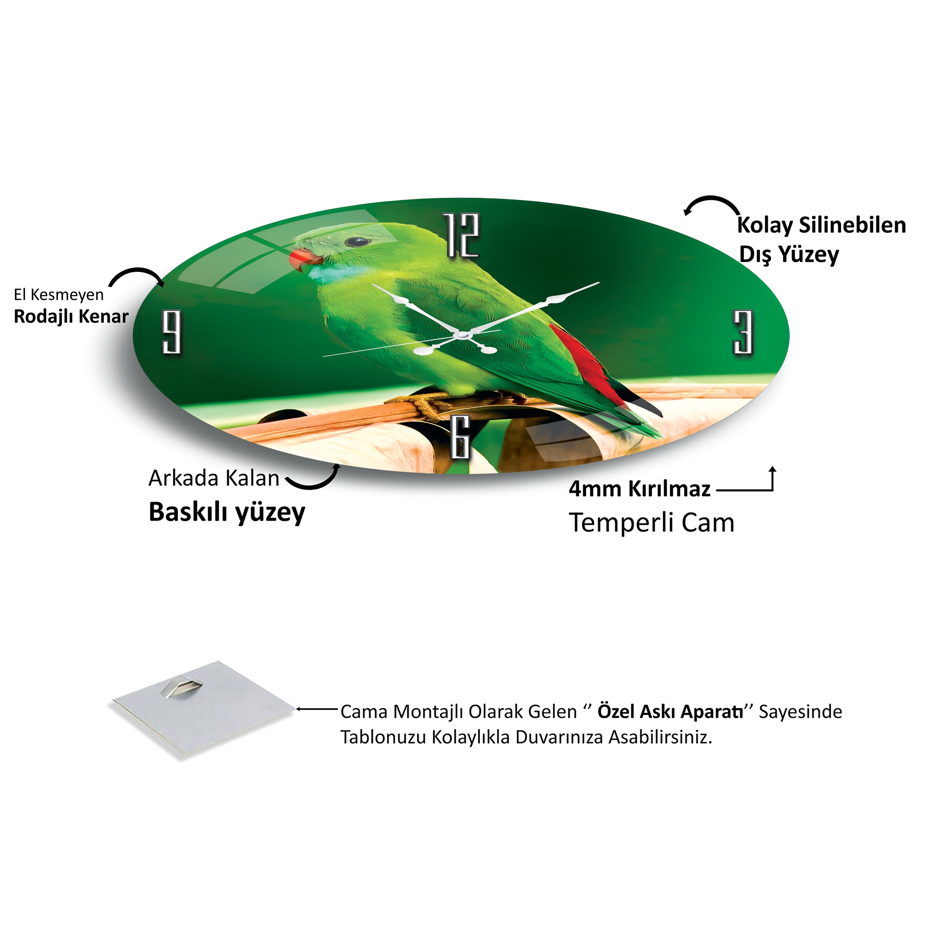 Papağan%20Cam%20Saat%20-%2040%20cm