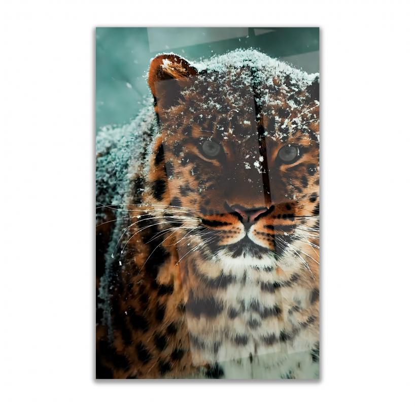 Leopar%20Cam%20Tablo